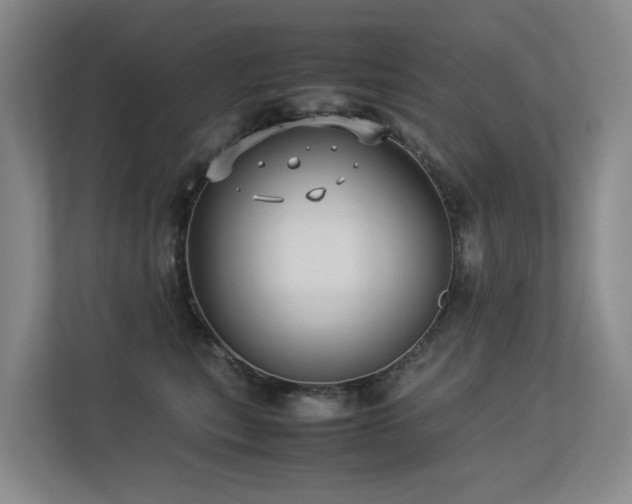 X0000113260567200909101501