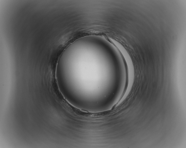 X0000113260568200909101501