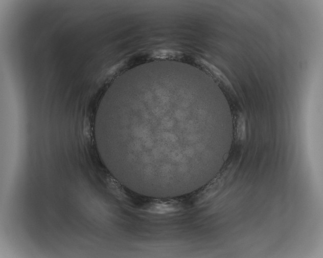 X0000113260569200909101501