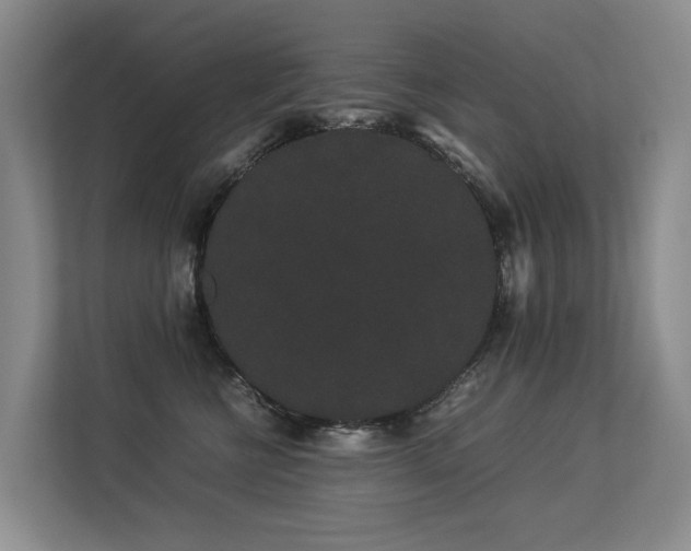 X0000113260570200909101501