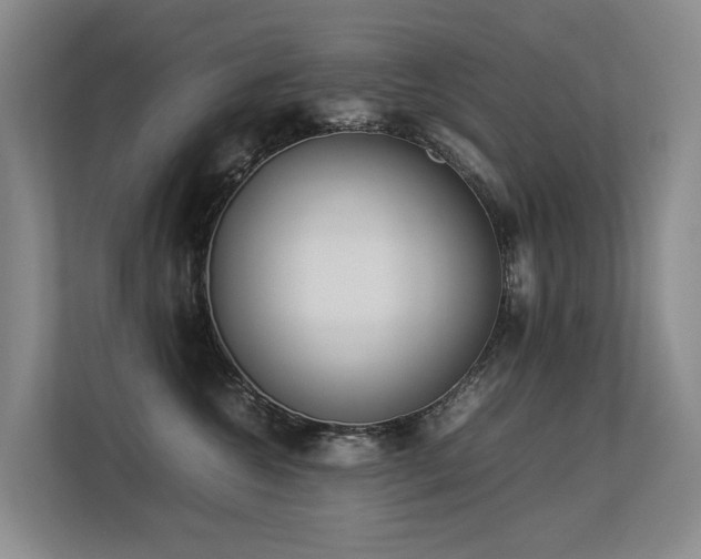 X0000113260572200909101501