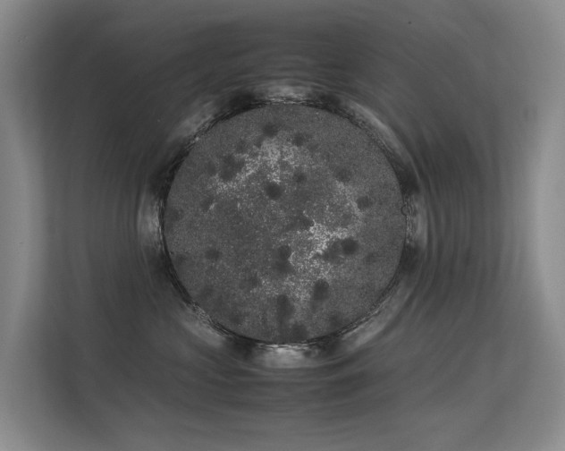 X0000113260573200909101501