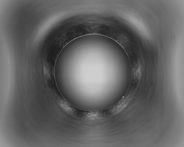 X0000113260574200909101501