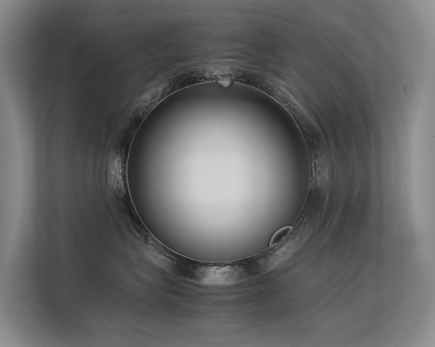 X0000113260575200909101501