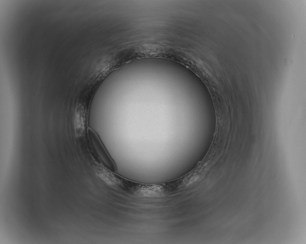 X0000113260576200909101501