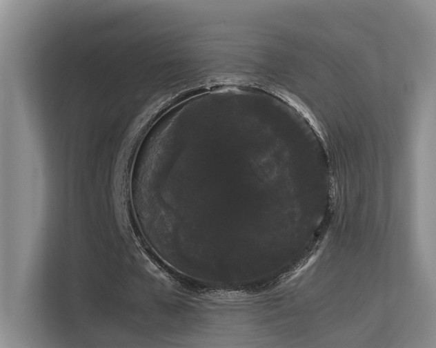 X0000113260577200909101501