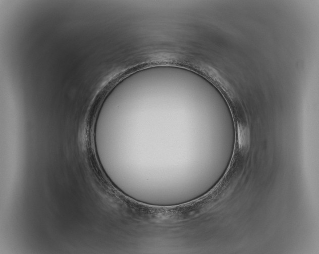 X0000113260579200909101500