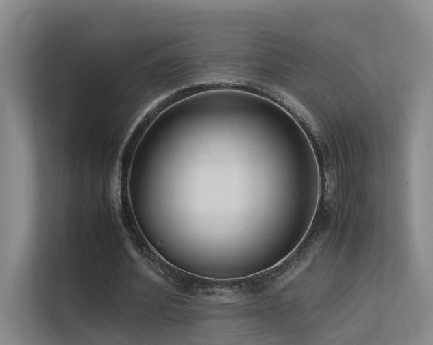 X0000113260580200909101500