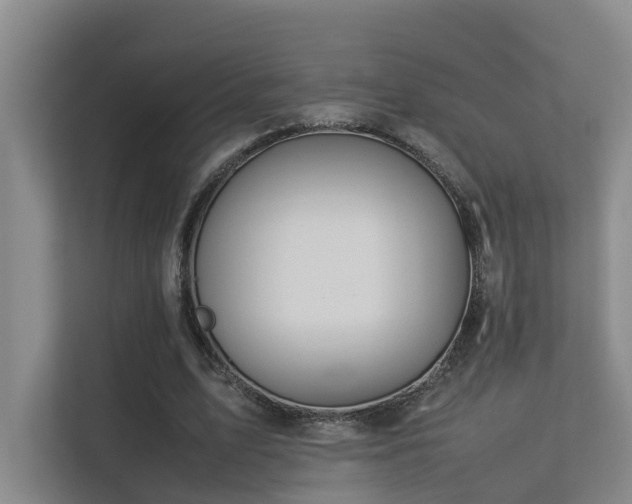 X0000113260583200909101500