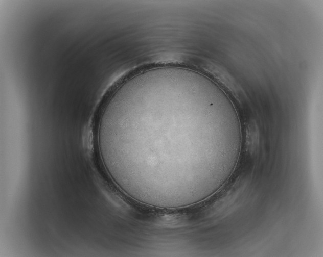 X0000113260584200909101500