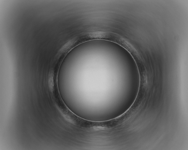 X0000113260586200909101500