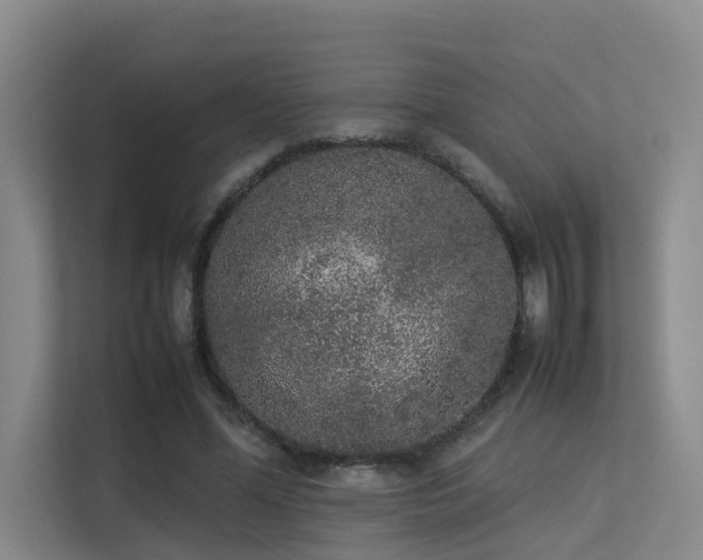 X0000113260588200909101500