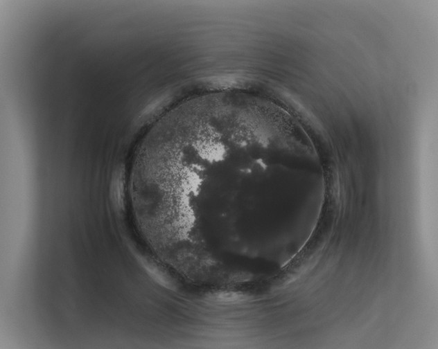 X0000113260590200909101500