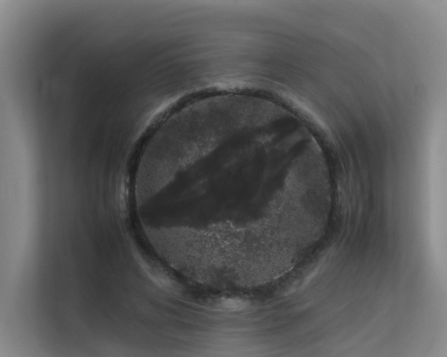 X0000113260592200909101500