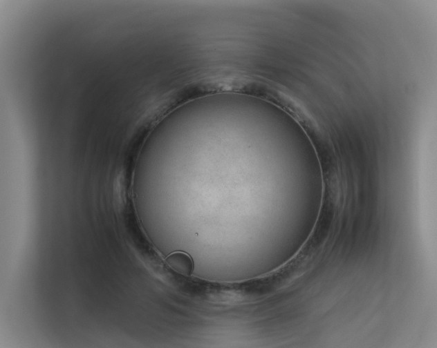 X0000113260594200909101500