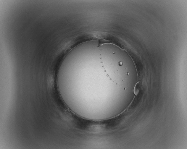 X0000113260595200909101500