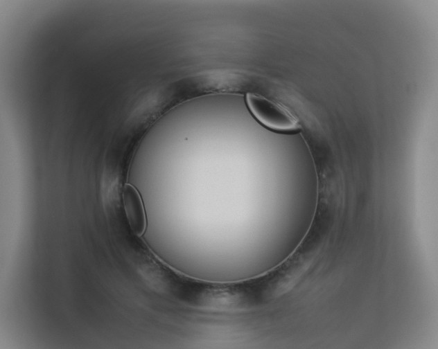 X0000113260597200909101500