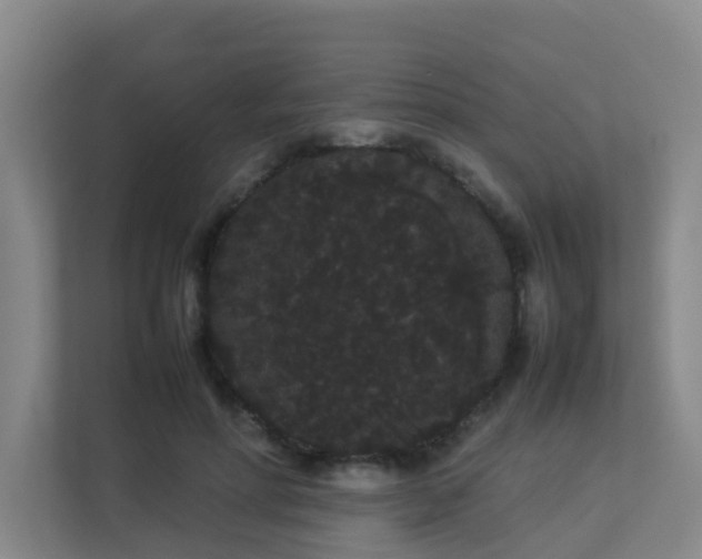 X0000113260598200909101500