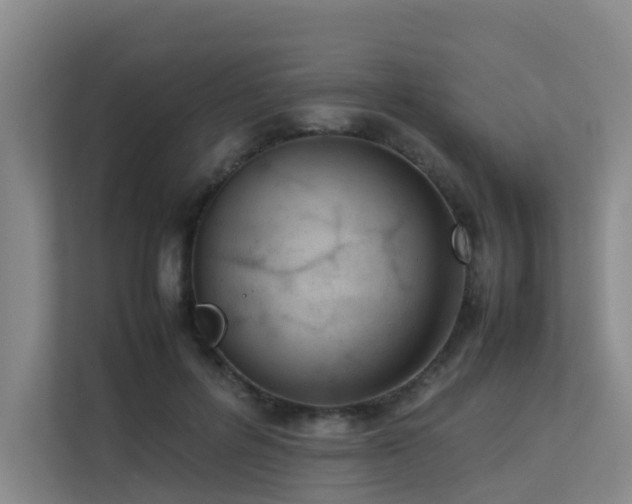 X0000113260600200909101500