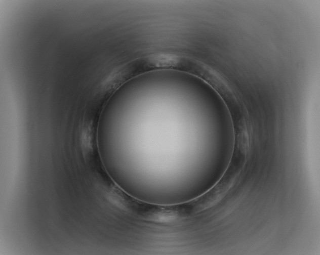 X0000113260604200909101500