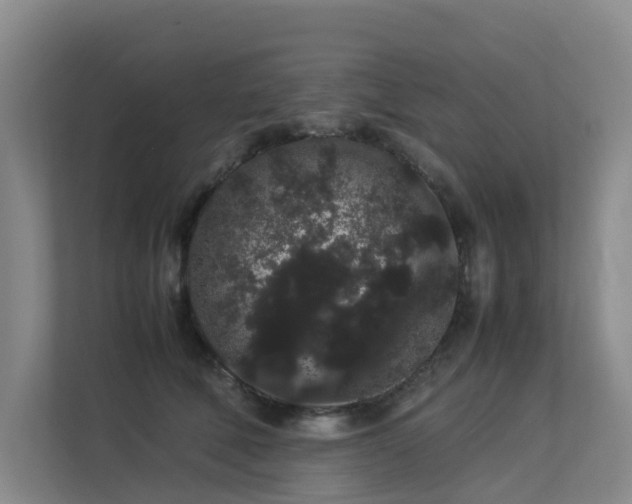 X0000113260610200909101500