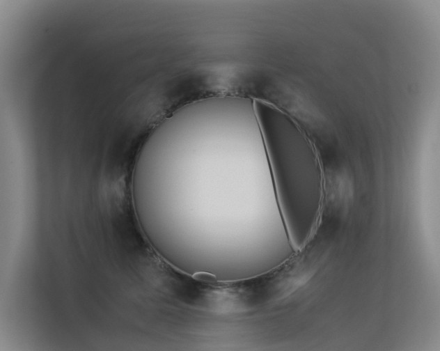 X0000113260611200909101500