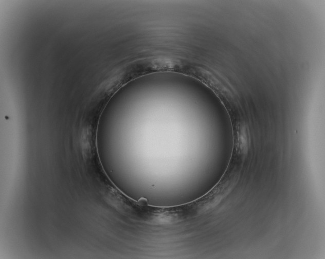 X0000113260616200909101500