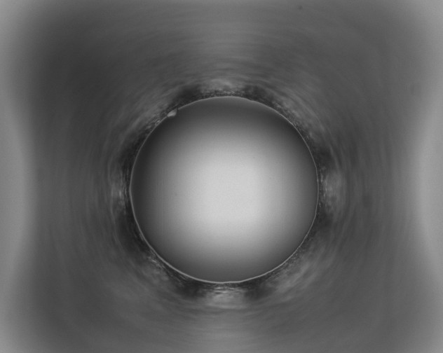 X0000113260617200909101500