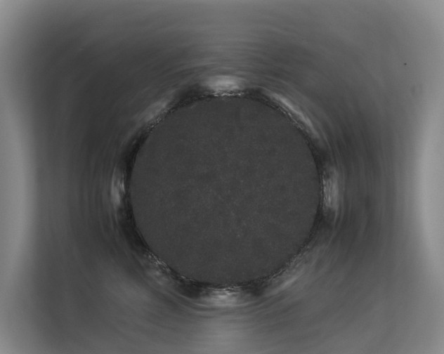 X0000113260618200909101500