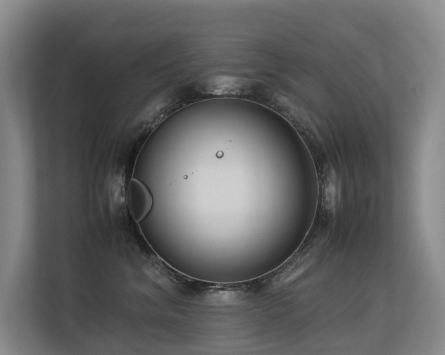 X0000113260620200909101500