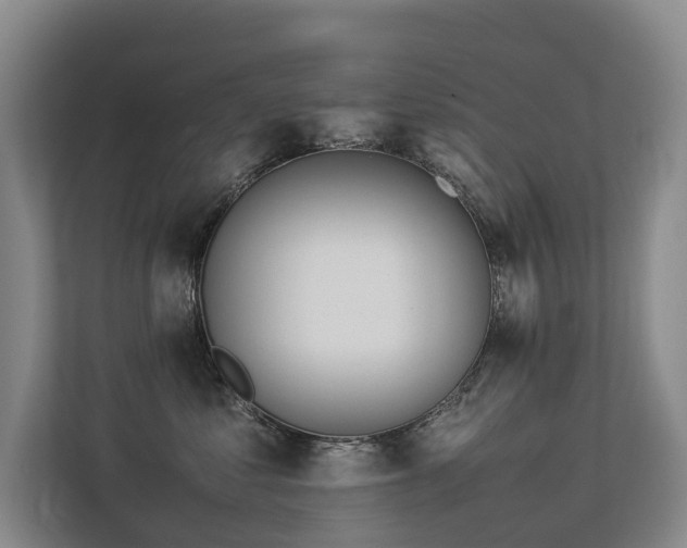 X0000113260621200909101500