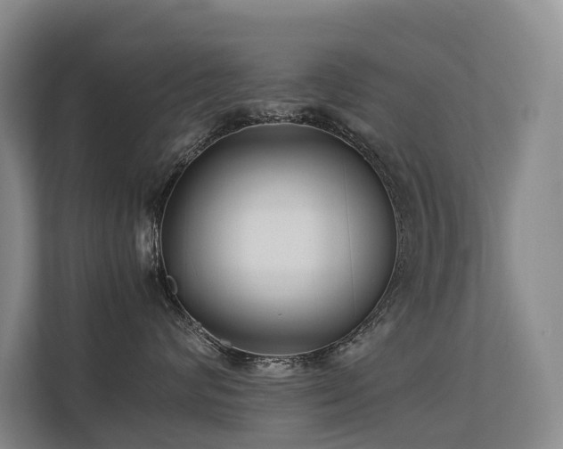 X0000113260624200909101500