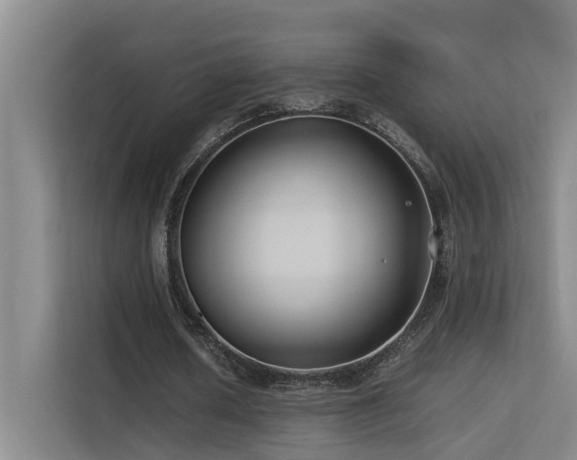 X0000113260626200909101459