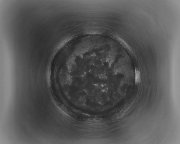 X0000113260627200909101459