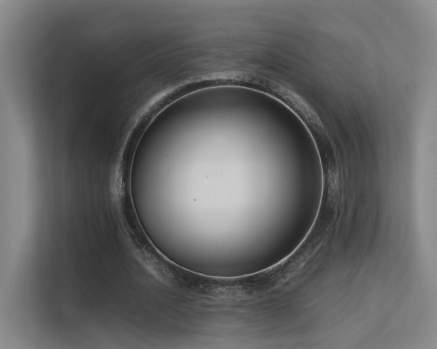 X0000113260628200909101459