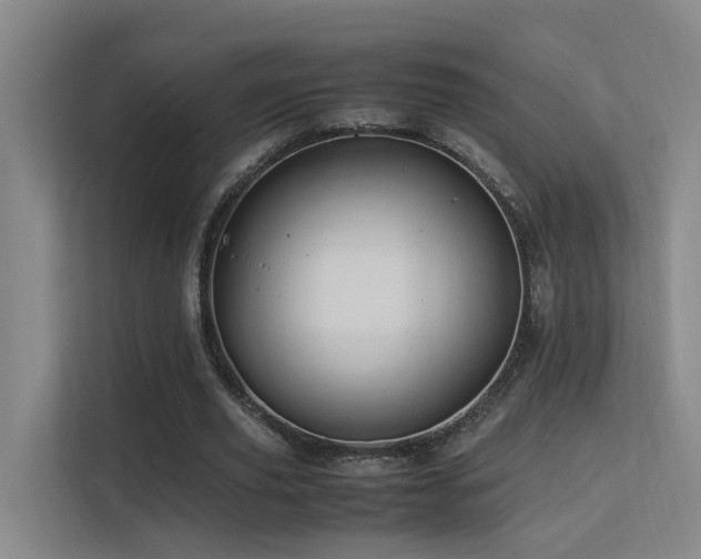 X0000113260629200909101459