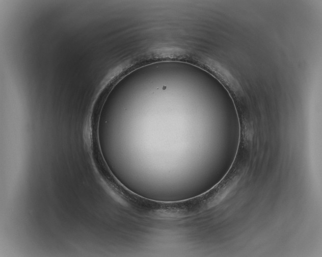 X0000113260630200909101459