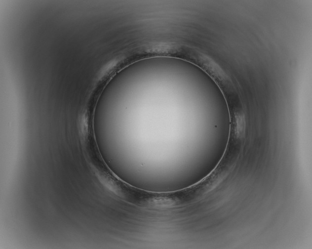 X0000113260636200909101459