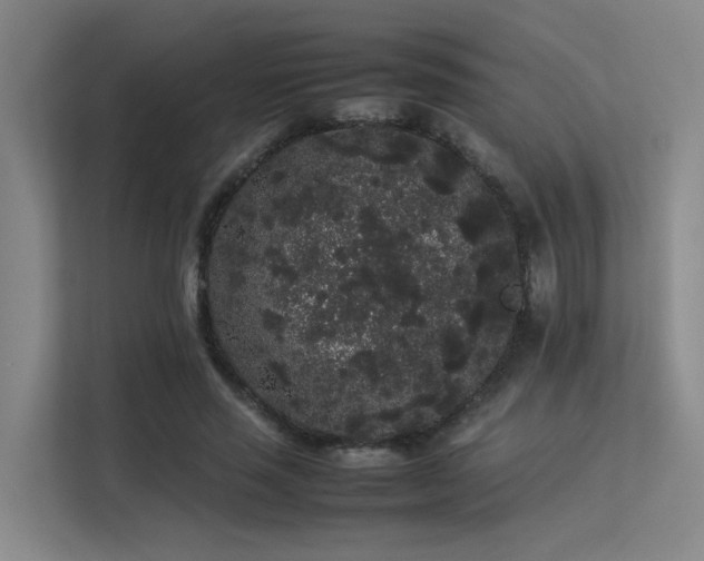 X0000113260637200909101459