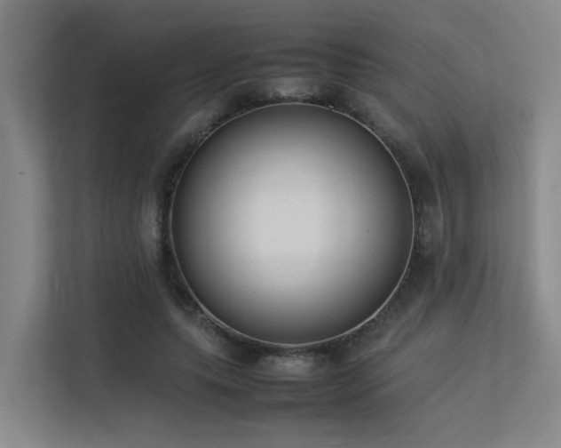 X0000113260639200909101459