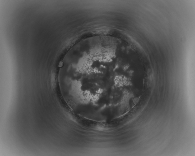 X0000113260641200909101459