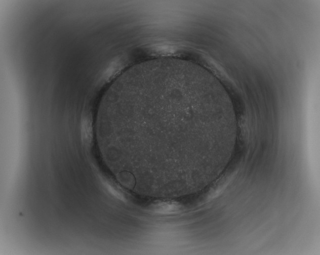 X0000113260642200909101459