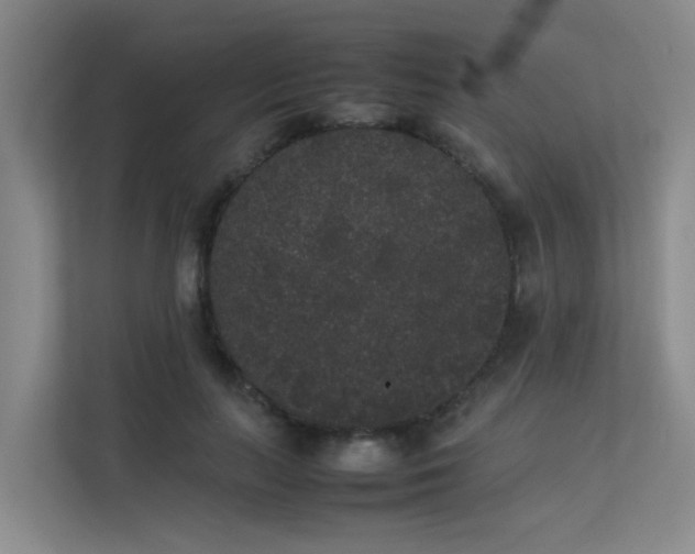 X0000113260647200909101500