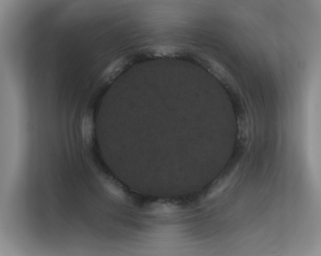 X0000113260648200909101500