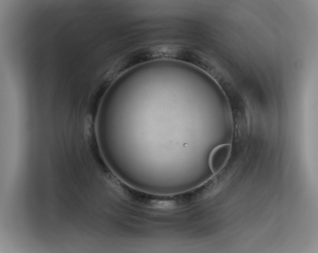 X0000113260649200909101500