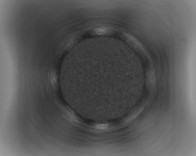 X0000113260653200909101500