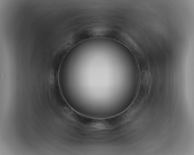 X0000113260655200909101500