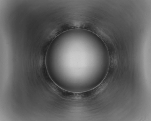 X0000113260656200909101500