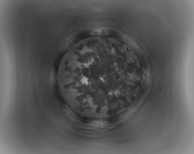 X0000113260659200909101500