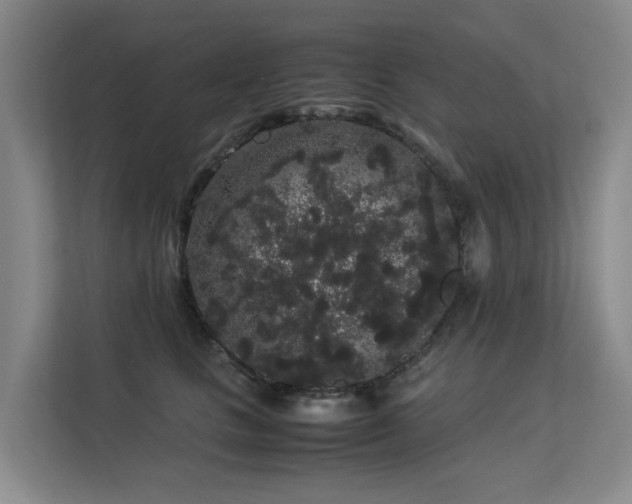 X0000113260661200909101500